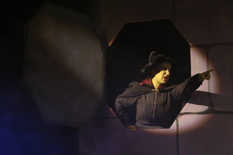 The Wicked Witch of the West in The Wizard of OZ, Mill Mountain Theatre 2014